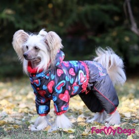Комбинезон для собак ForMyDogs "Сердечки" серый/красный