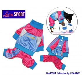 Спортивный костюм "Color"