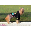 Кофта для собак ForMyDogs "PLM"