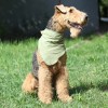 Косынка охлаждающая для собак