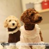 Кофта для собак Is Pet "Пирожные"